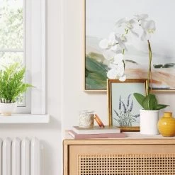 Small Potted Orchid - Threshold™